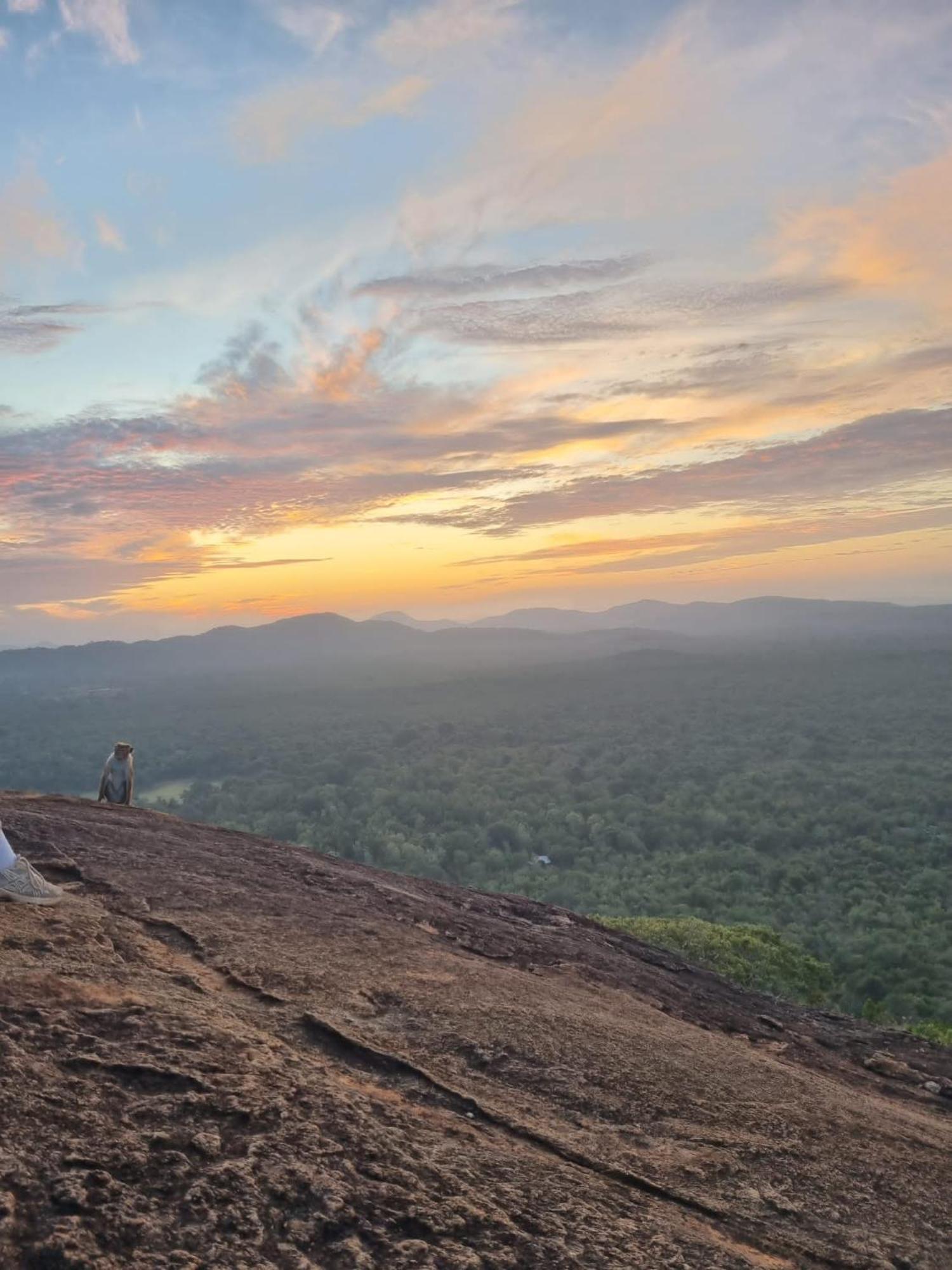 Sunrise Cottage Sigiriya Exterior photo