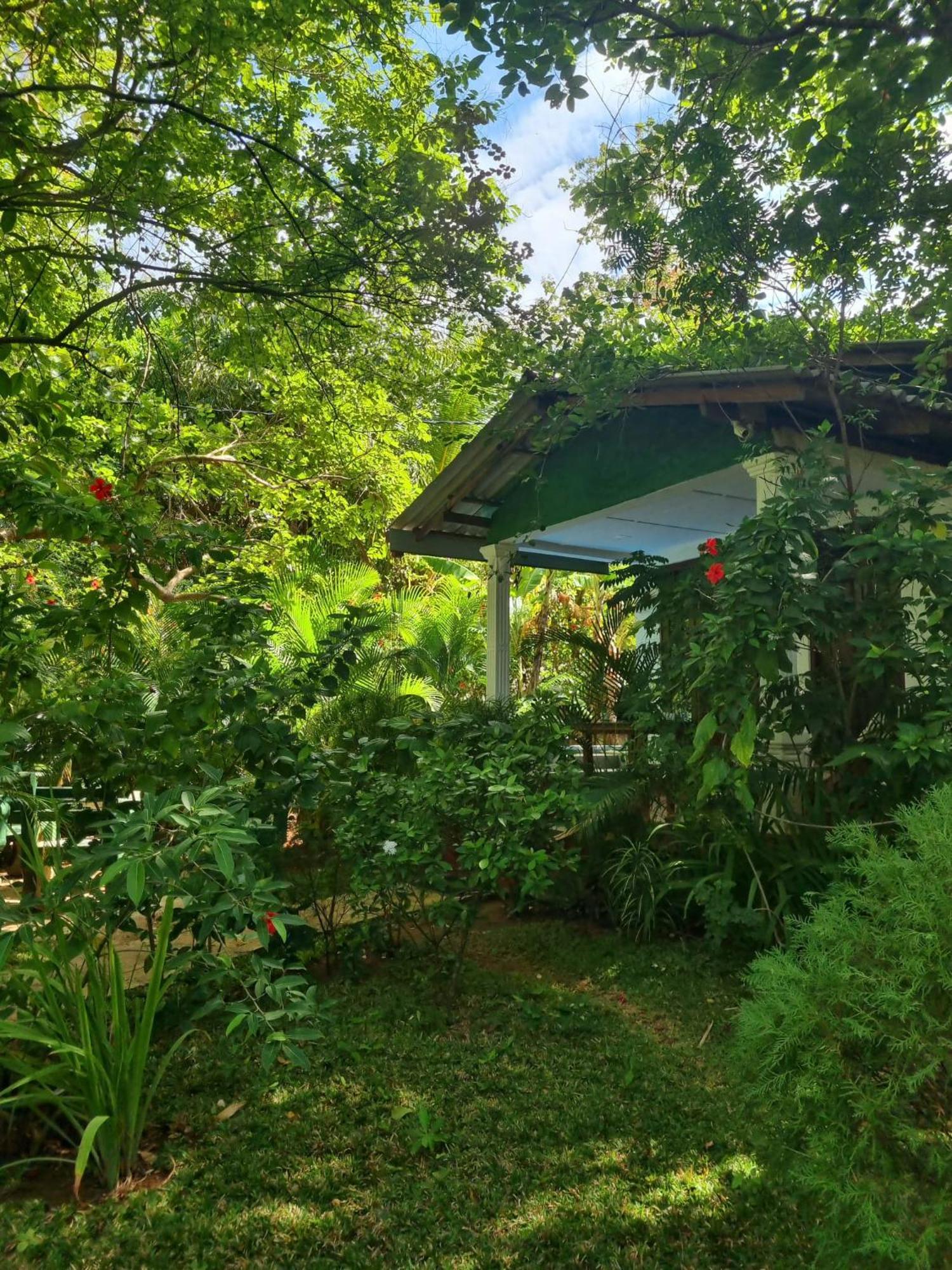 Sunrise Cottage Sigiriya Exterior photo